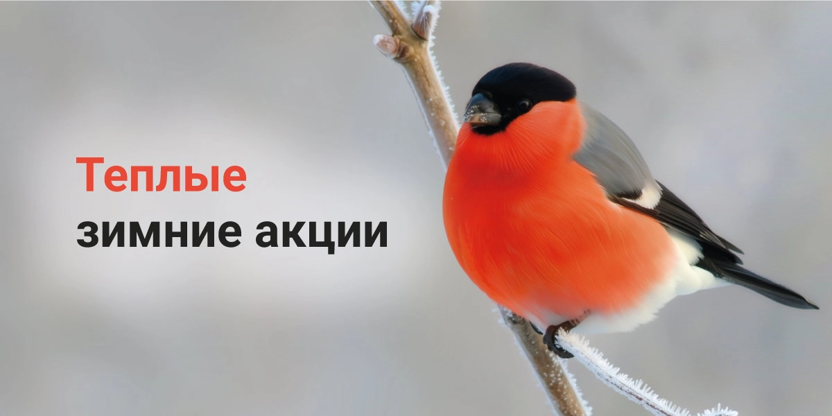 Тёплые зимние акции